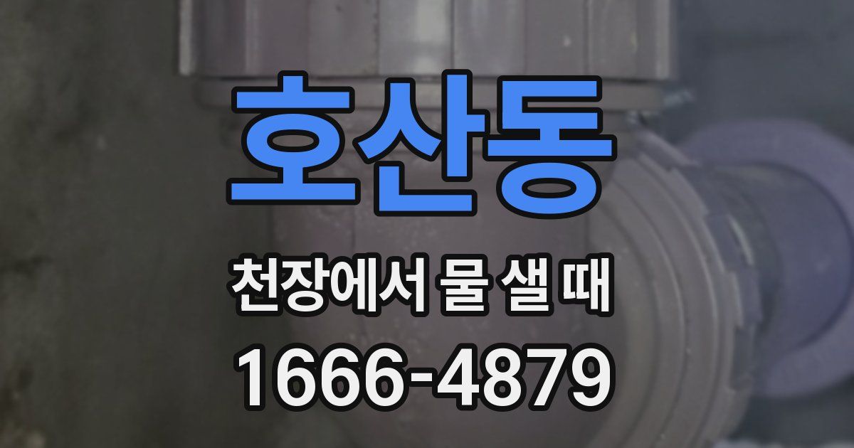 호산동 천장에서 물 샐 때