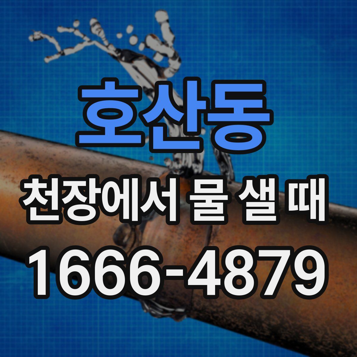 호산동 천장에서 물 샐 때