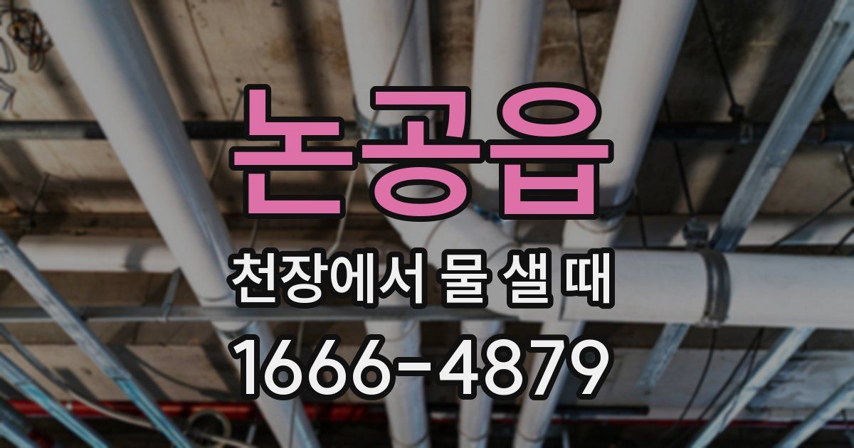논공읍 천장에서 물 샐 때