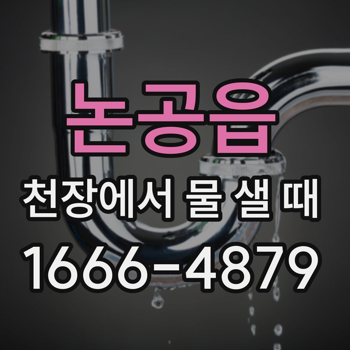 논공읍 천장에서 물 샐 때