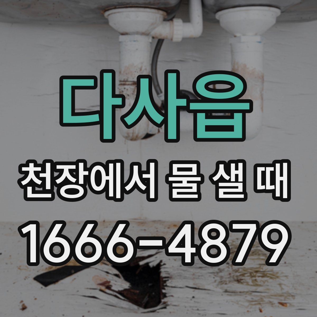 다사읍 천장에서 물 샐 때