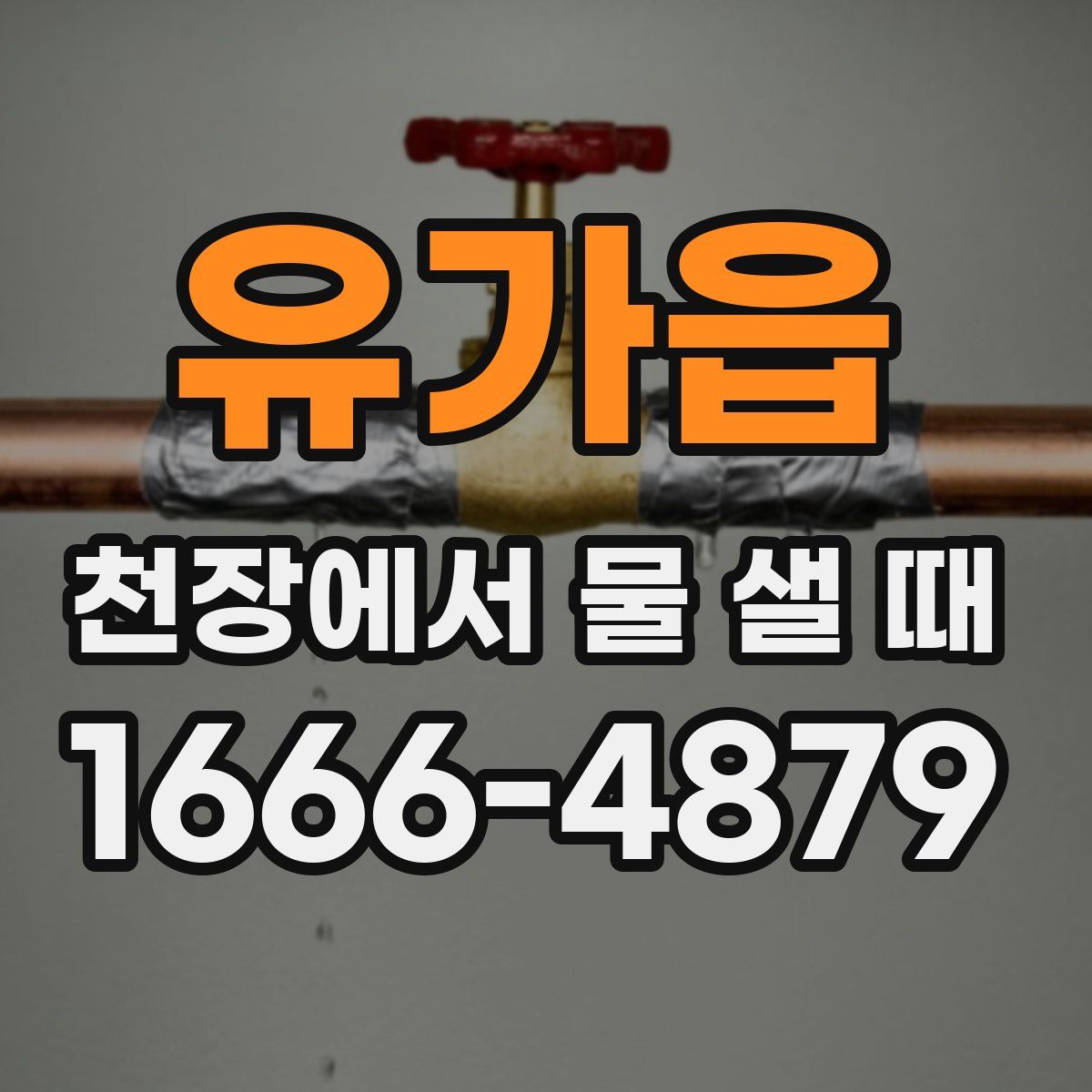 유가읍 천장에서 물 샐 때