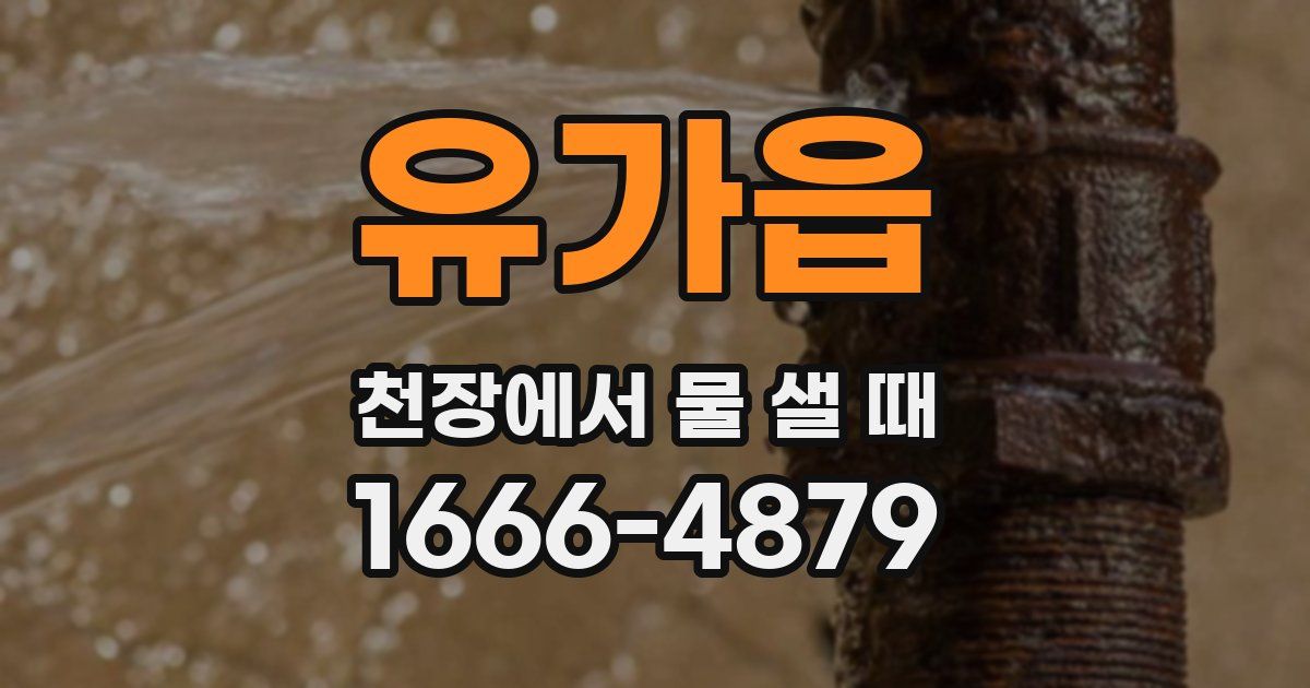 유가읍 천장에서 물 샐 때