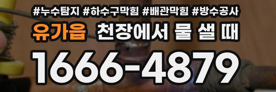 유가읍 천장에서 물 샐 때