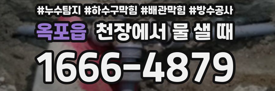 옥포읍 천장에서 물 샐 때