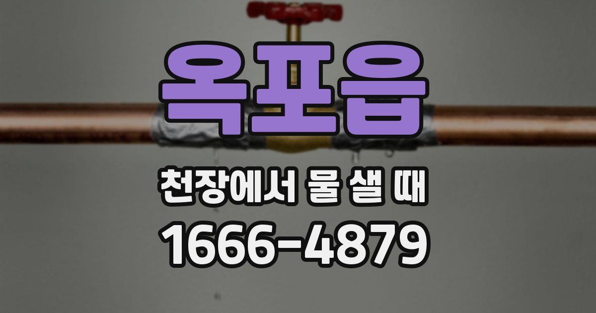 옥포읍 천장에서 물 샐 때