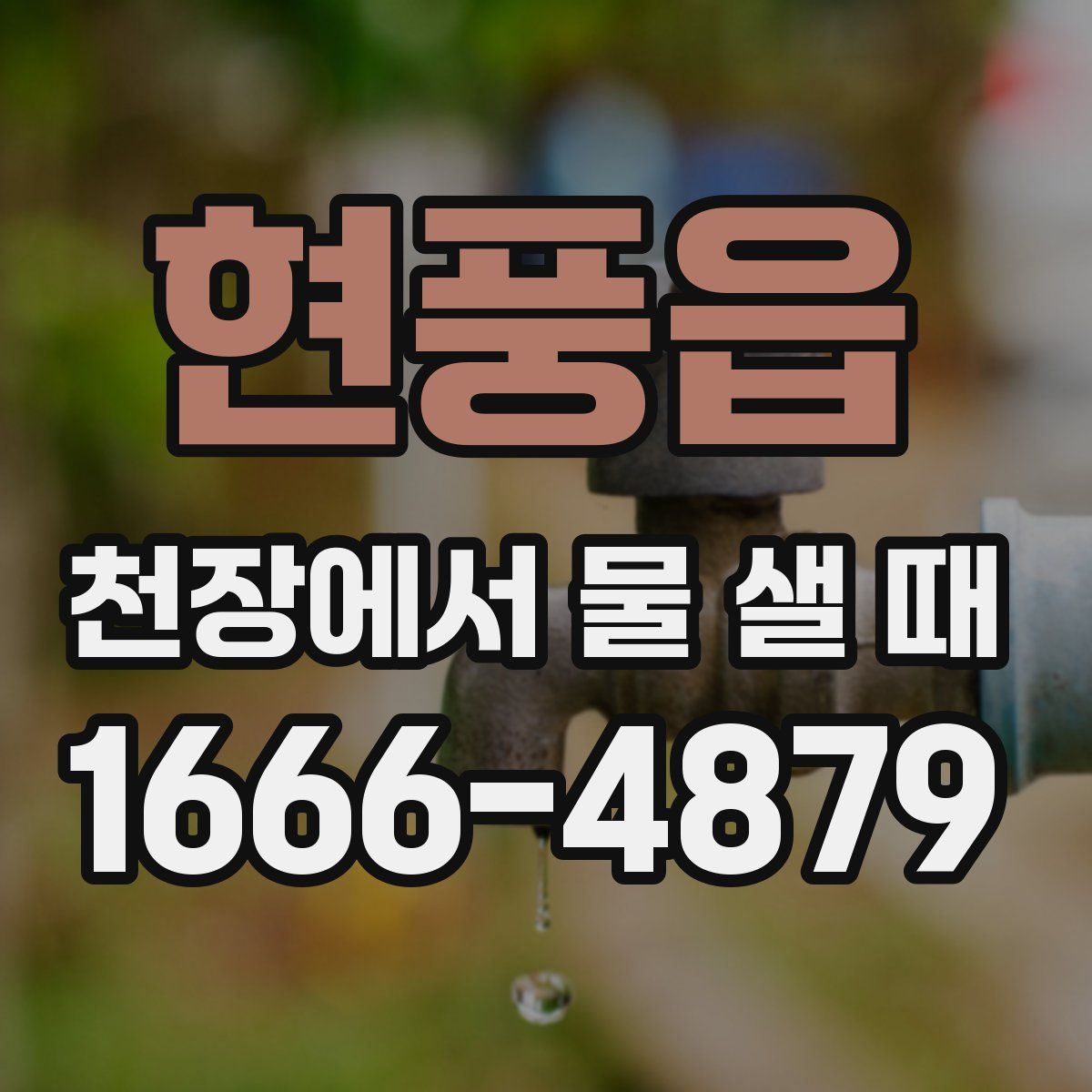 현풍읍 천장에서 물 샐 때