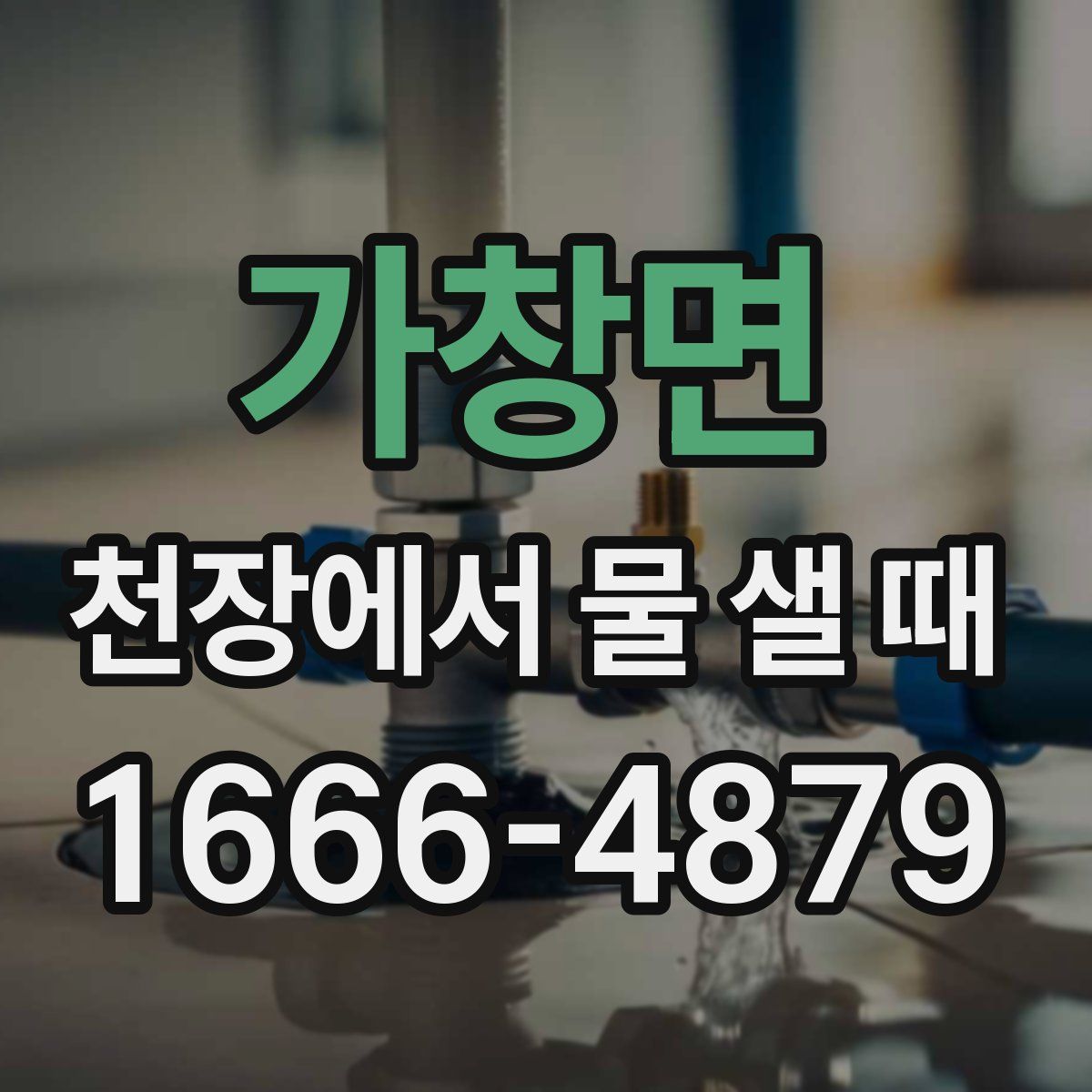 가창면 천장에서 물 샐 때