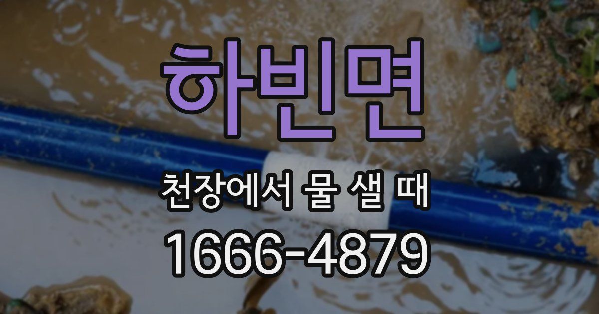 하빈면 천장에서 물 샐 때