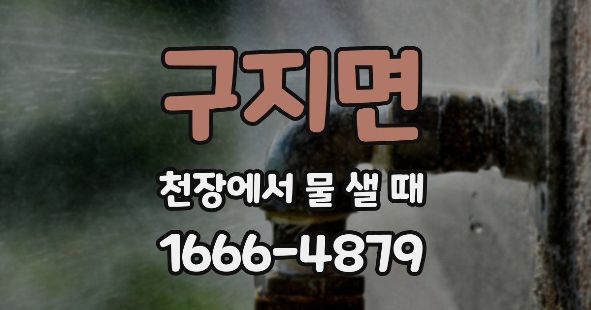 구지면 천장에서 물 샐 때