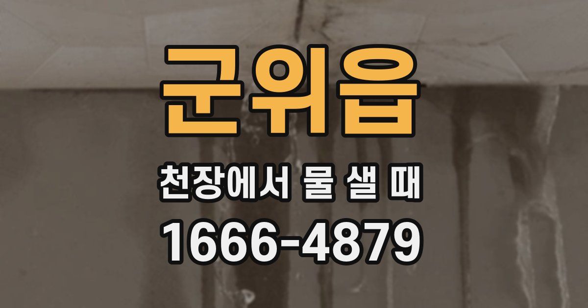 군위읍 천장에서 물 샐 때
