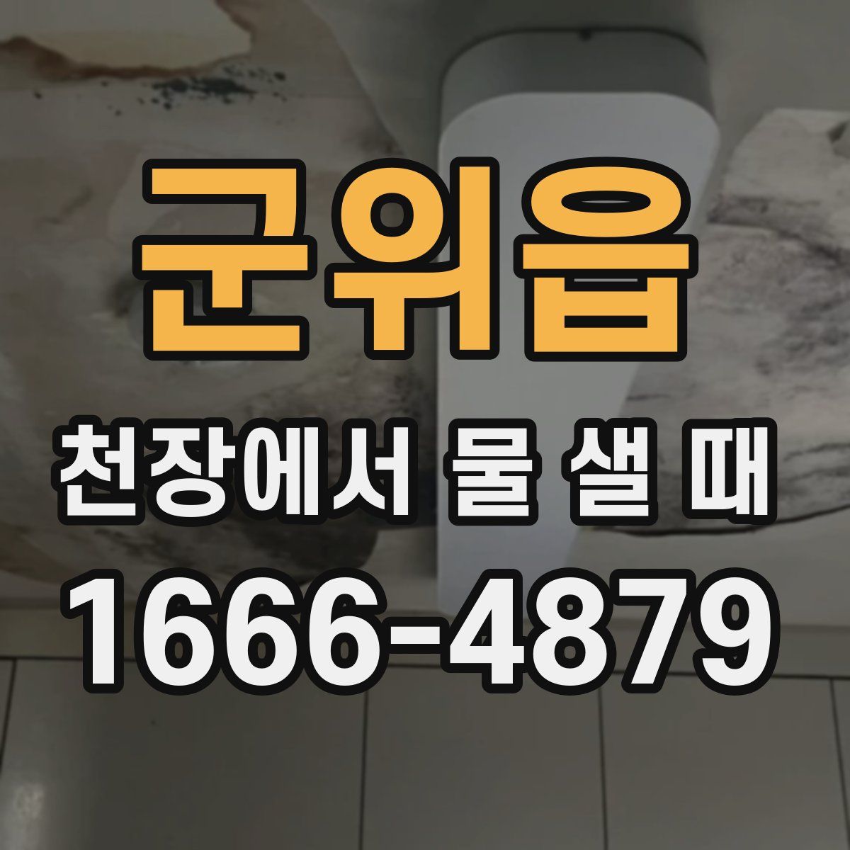 군위읍 천장에서 물 샐 때