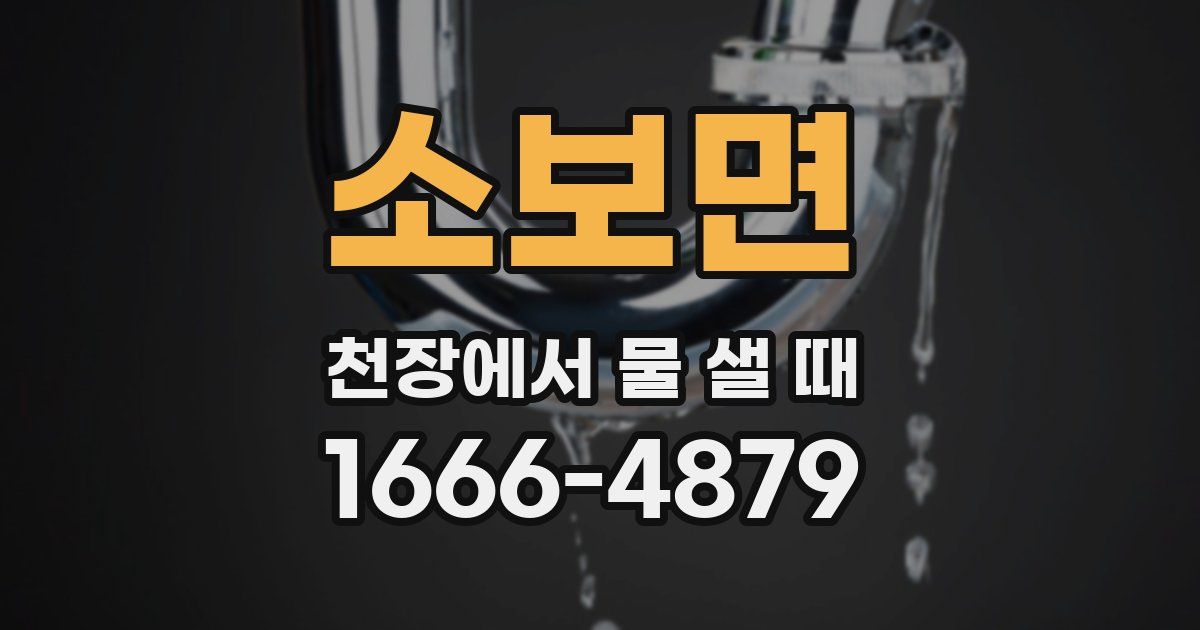 소보면 천장에서 물 샐 때