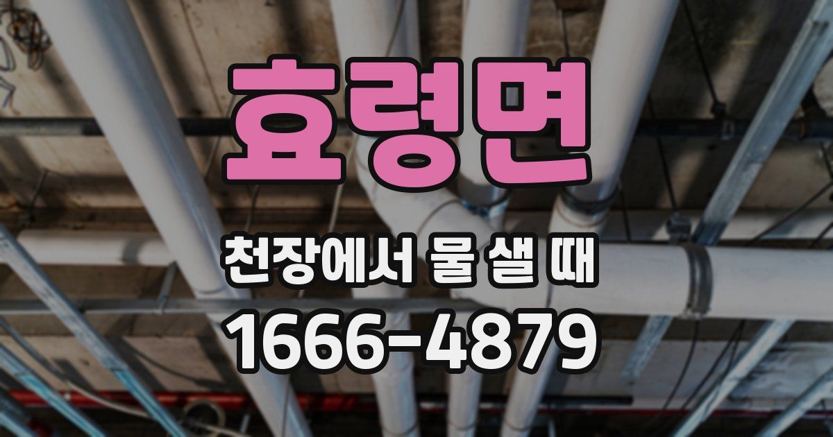 효령면 천장에서 물 샐 때