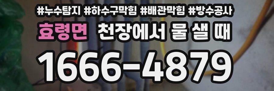 효령면 천장에서 물 샐 때