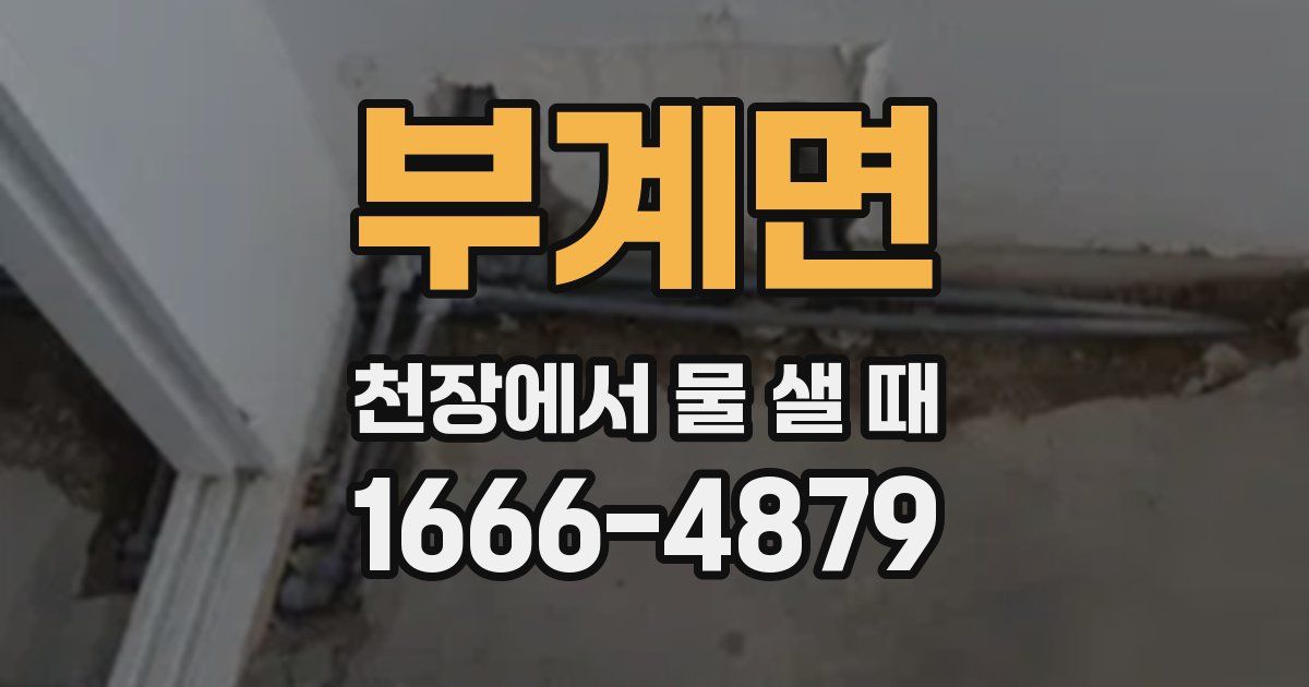 부계면 천장에서 물 샐 때