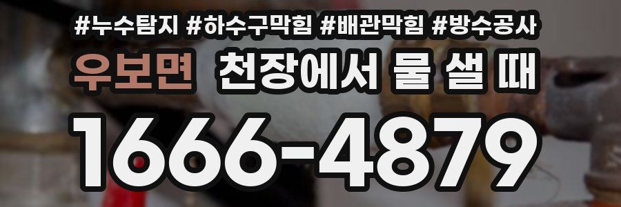 우보면 천장에서 물 샐 때