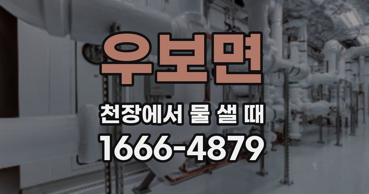 우보면 천장에서 물 샐 때