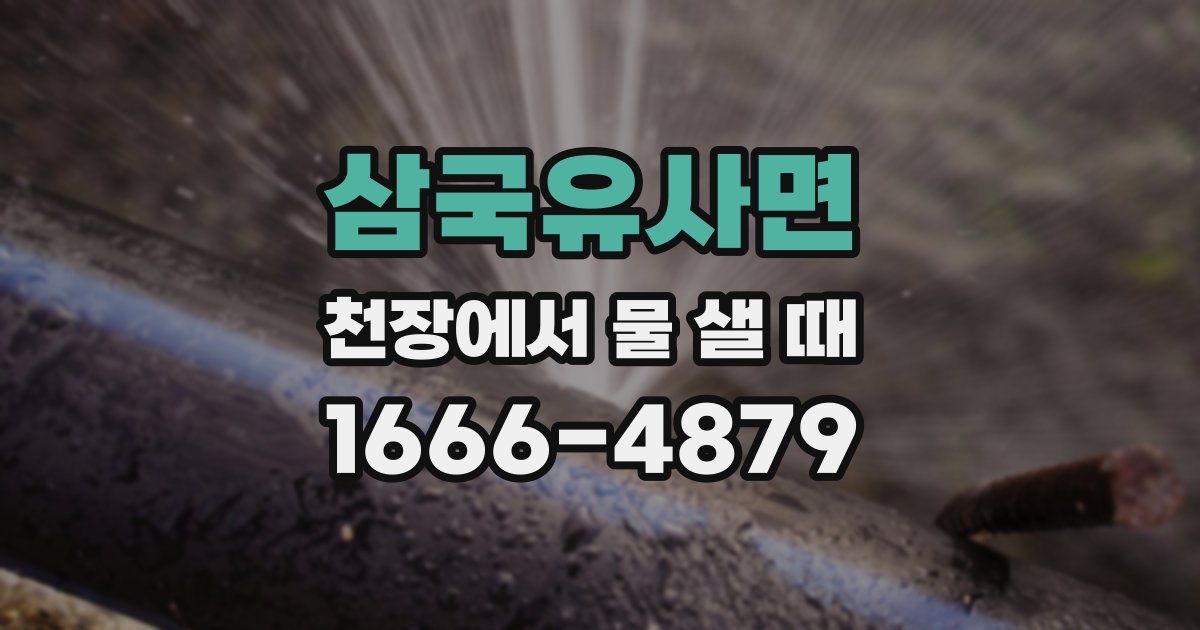 삼국유사면 천장에서 물 샐 때