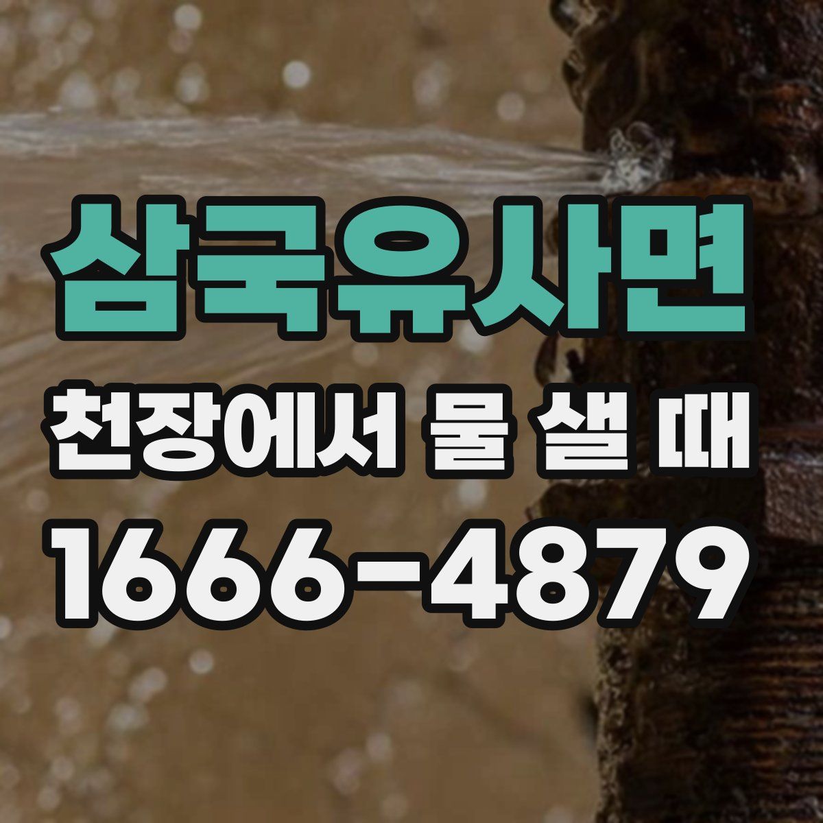 삼국유사면 천장에서 물 샐 때