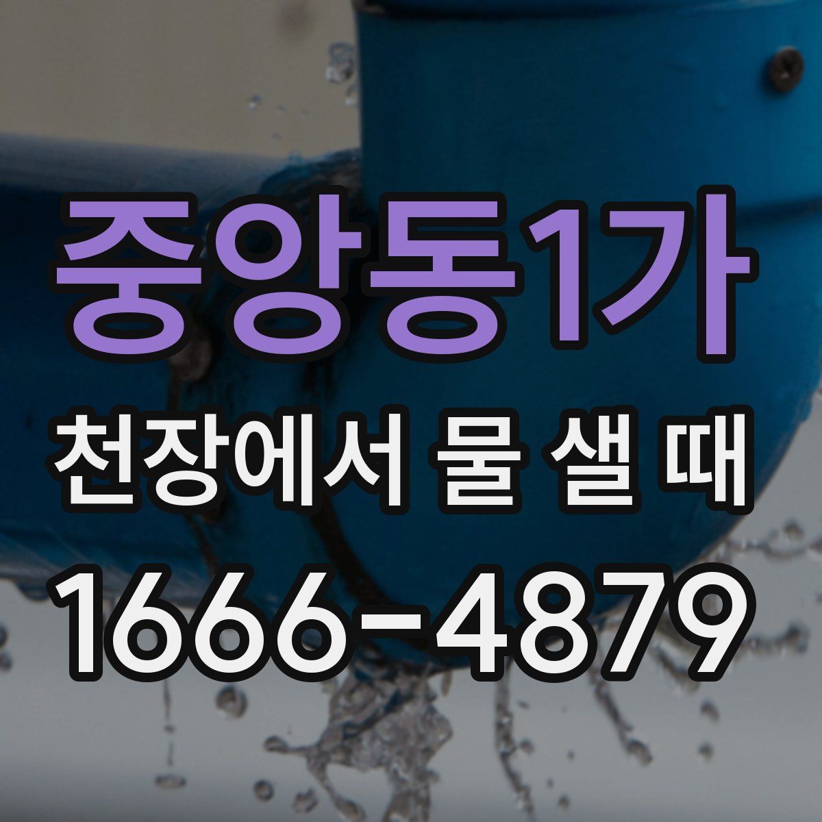 중앙동1가 천장에서 물 샐 때
