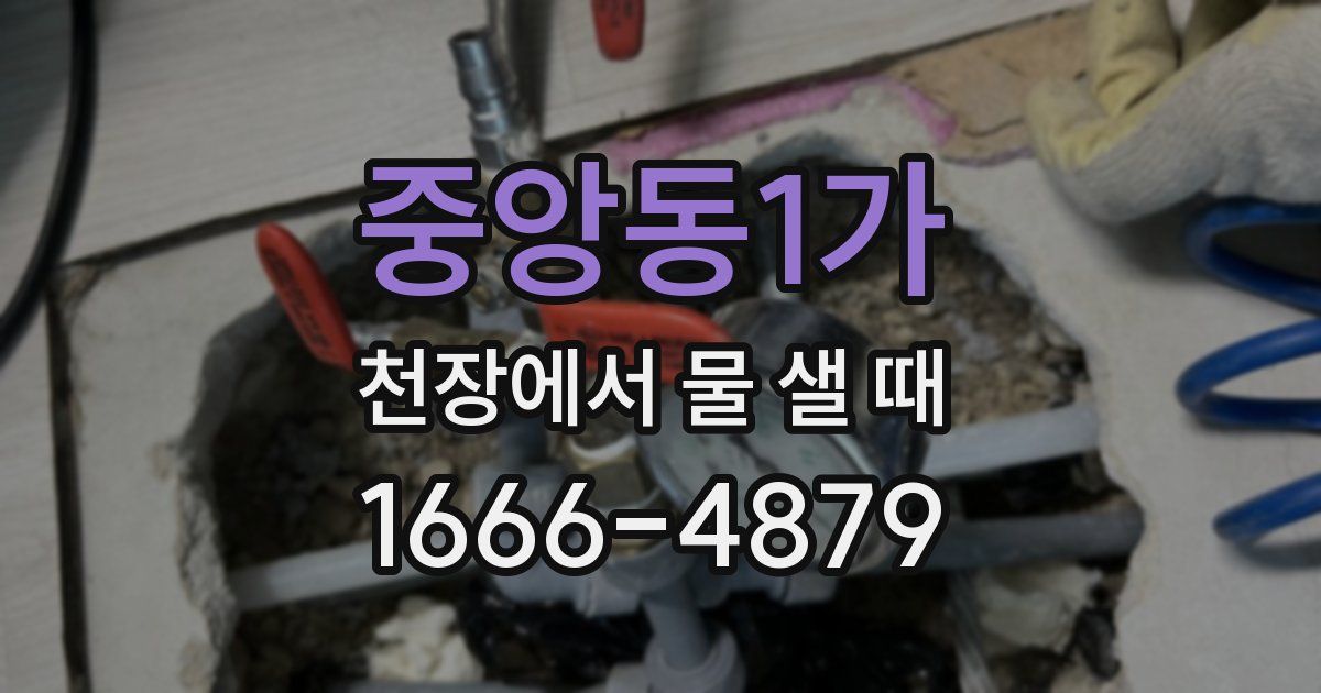 중앙동1가 천장에서 물 샐 때