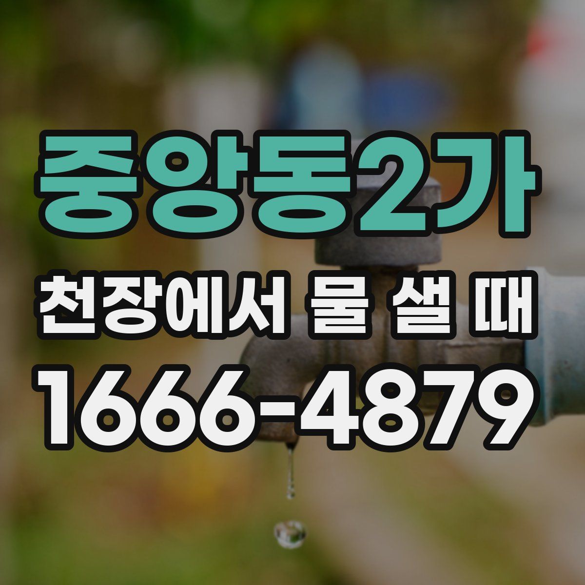 중앙동2가 천장에서 물 샐 때