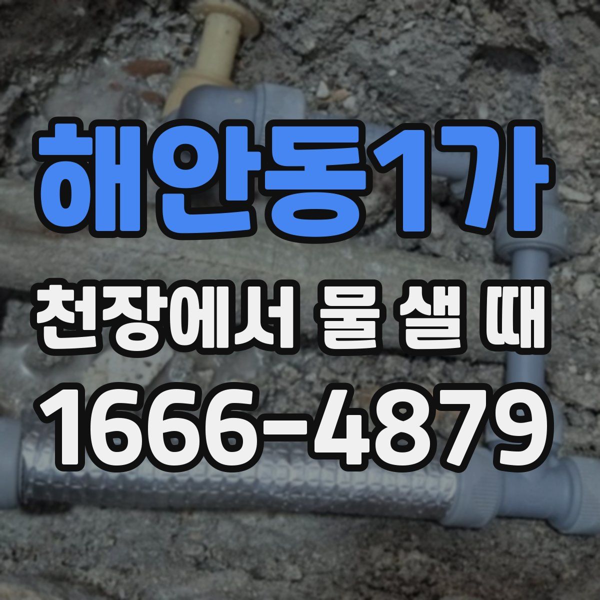 해안동1가 천장에서 물 샐 때