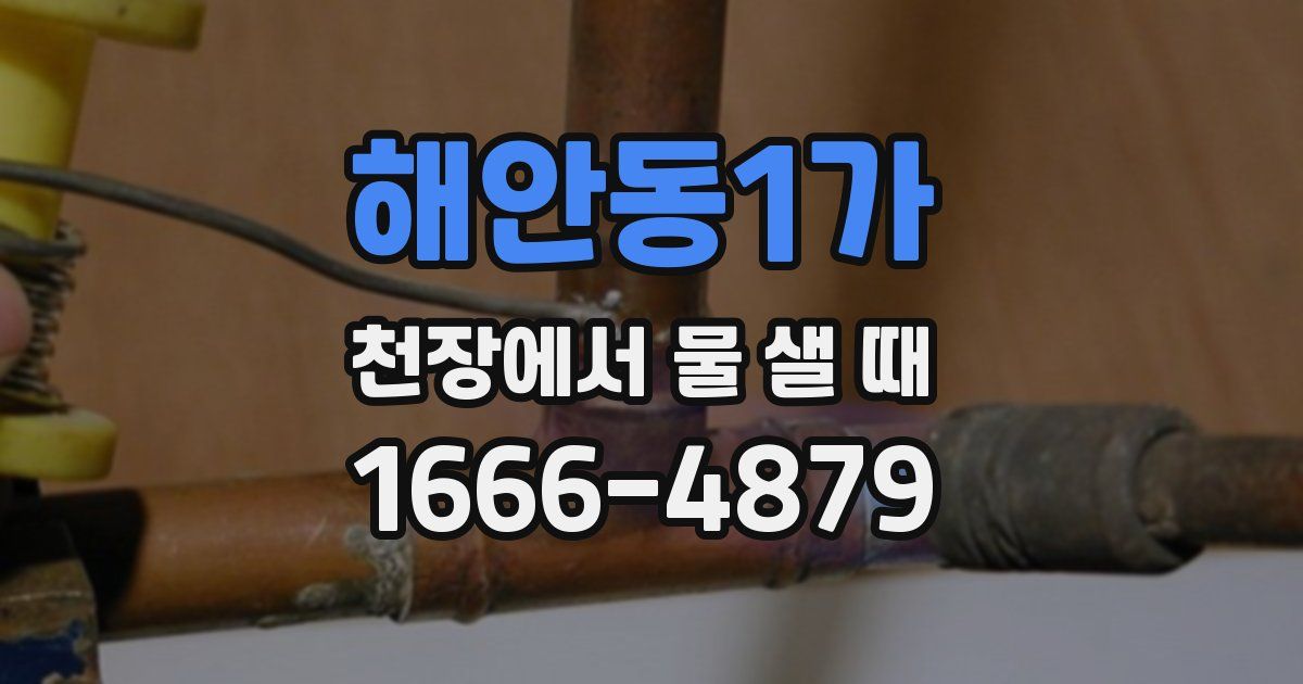해안동1가 천장에서 물 샐 때
