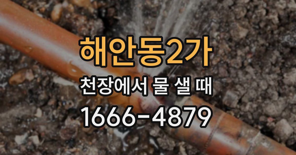 해안동2가 천장에서 물 샐 때