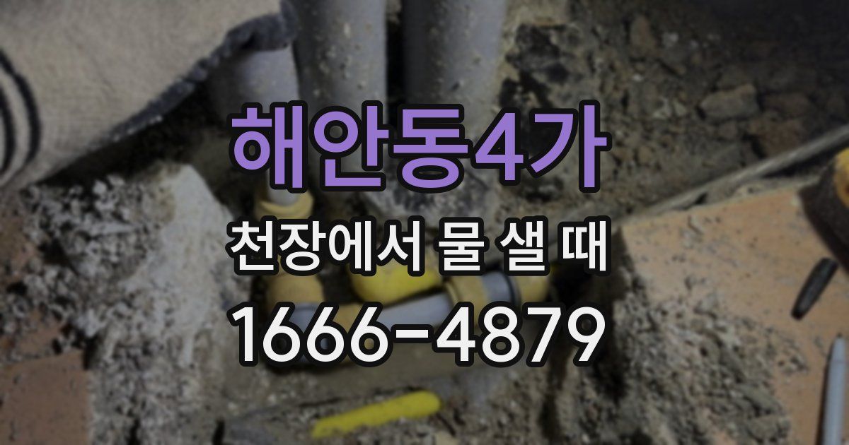 해안동4가 천장에서 물 샐 때
