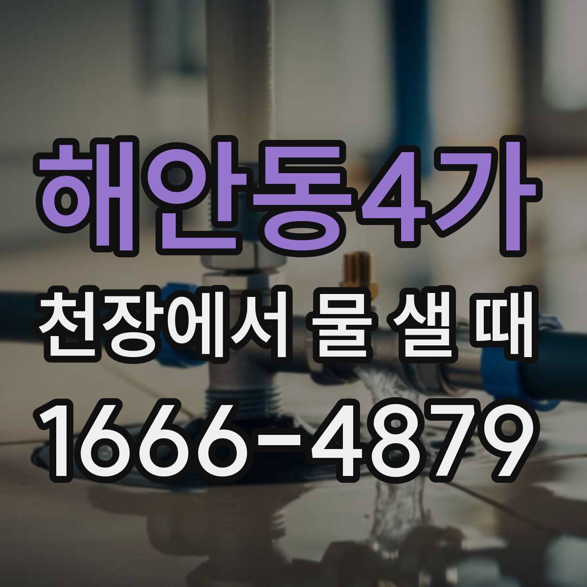 해안동4가 천장에서 물 샐 때