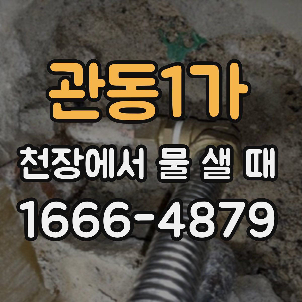 관동1가 천장에서 물 샐 때