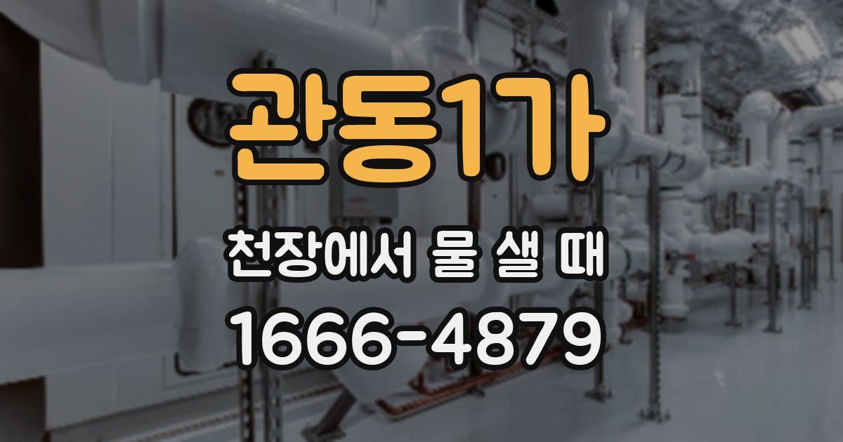 관동1가 천장에서 물 샐 때