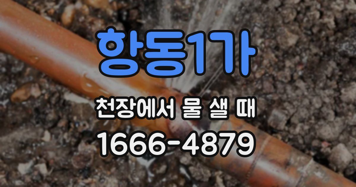 항동1가 천장에서 물 샐 때