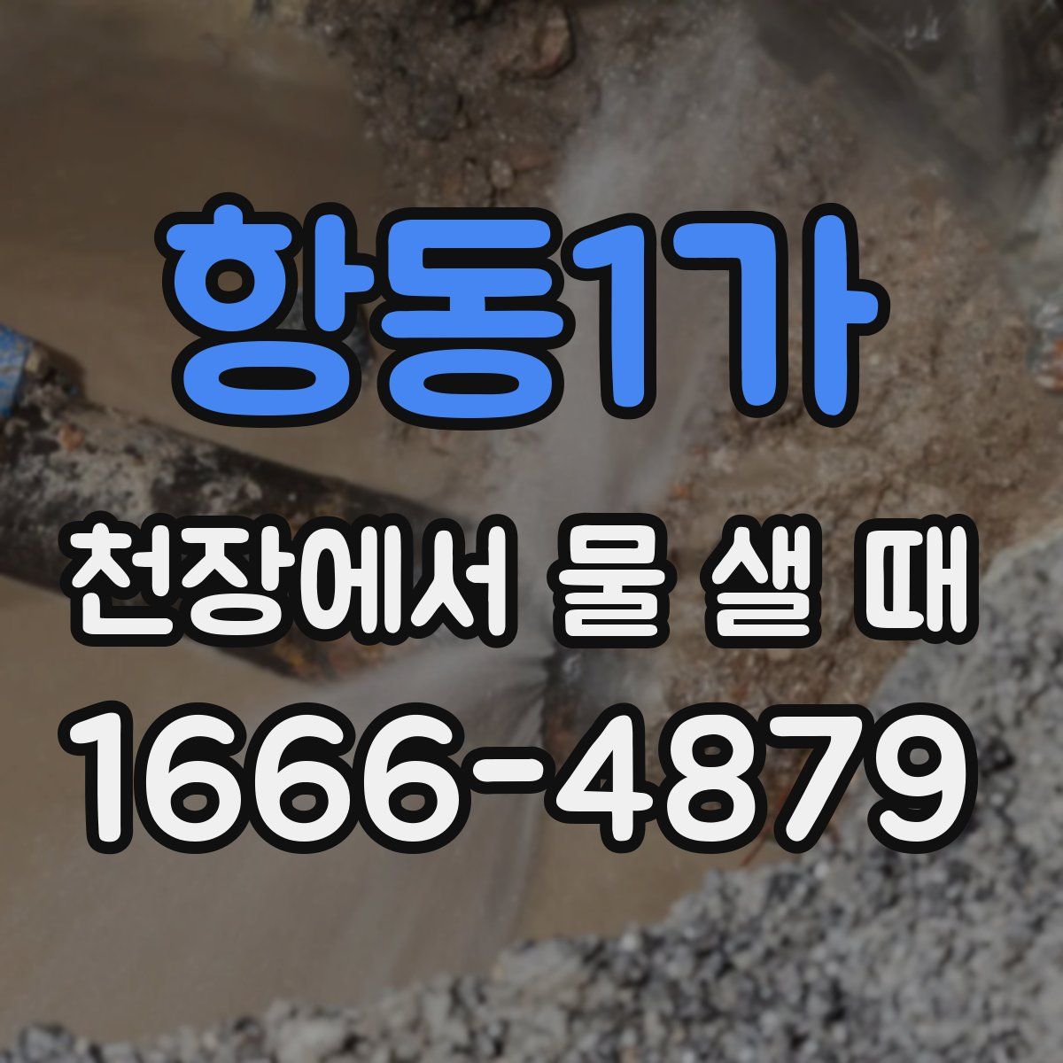 항동1가 천장에서 물 샐 때