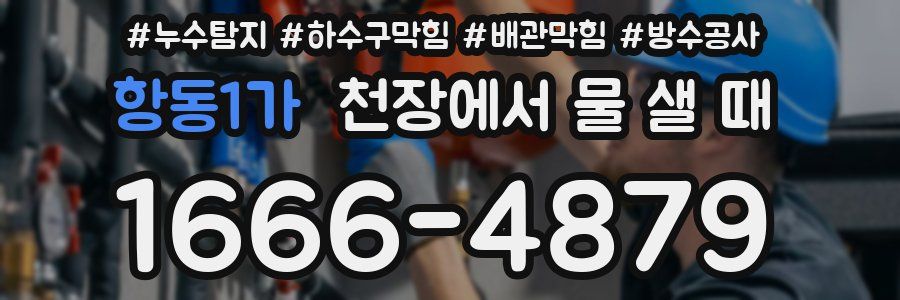 항동1가 천장에서 물 샐 때