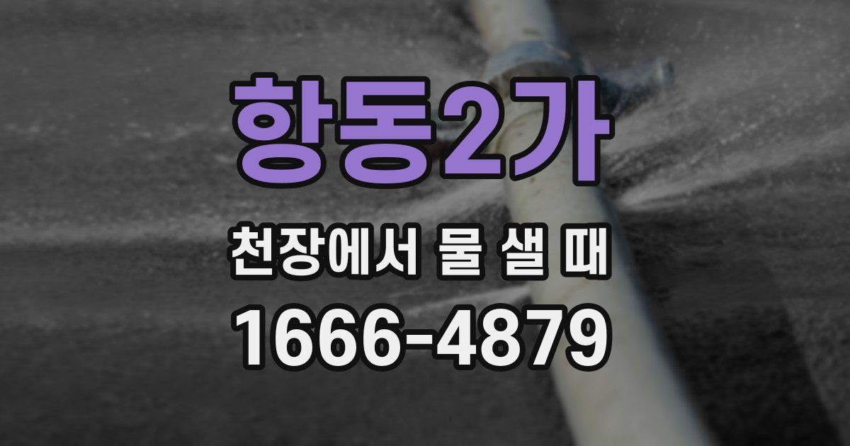 항동2가 천장에서 물 샐 때