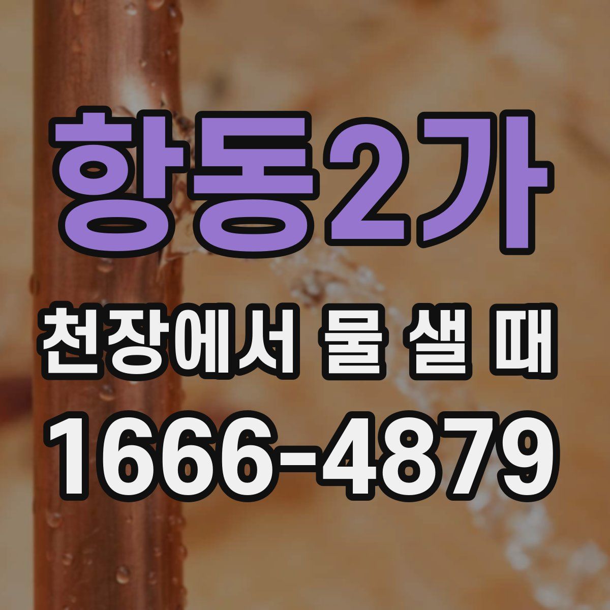 항동2가 천장에서 물 샐 때