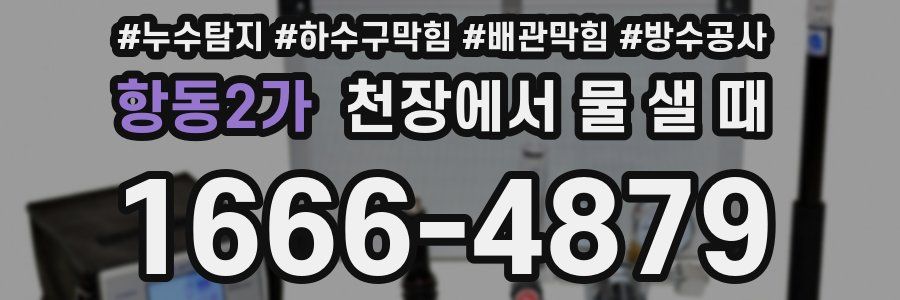 항동2가 천장에서 물 샐 때