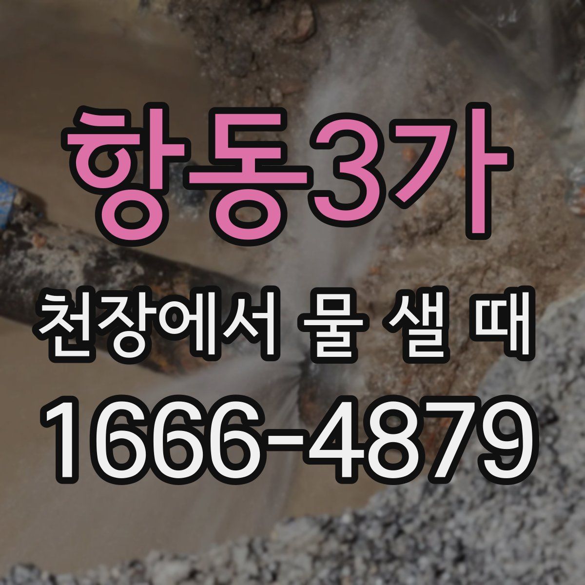 항동3가 천장에서 물 샐 때