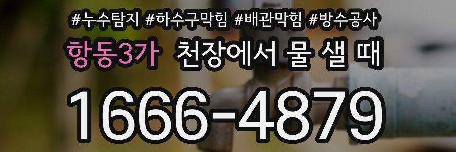 항동3가 천장에서 물 샐 때