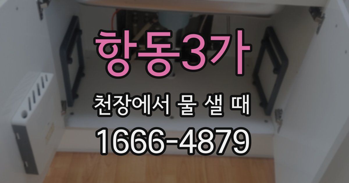 항동3가 천장에서 물 샐 때