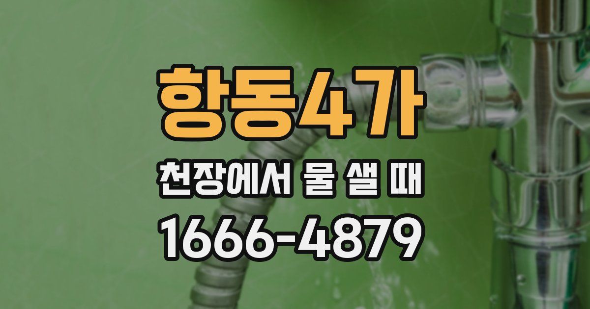 항동4가 천장에서 물 샐 때