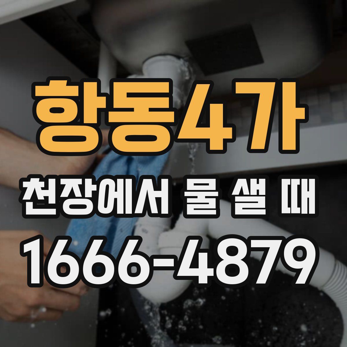 항동4가 천장에서 물 샐 때