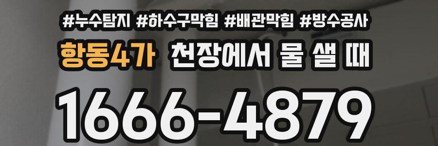 항동4가 천장에서 물 샐 때