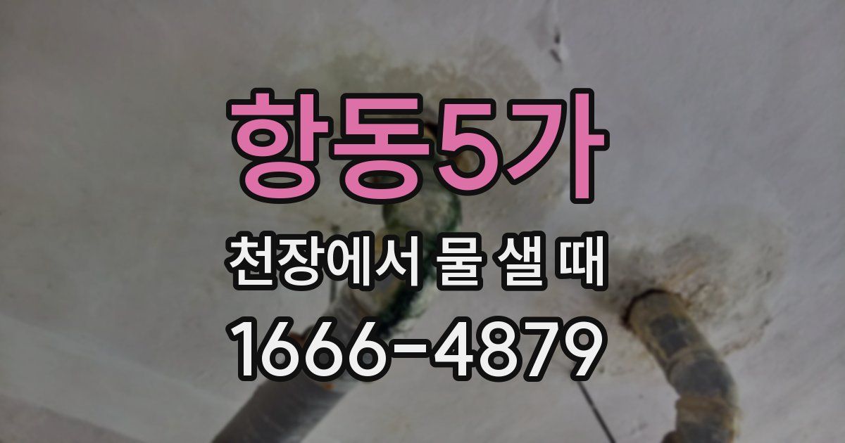 항동5가 천장에서 물 샐 때