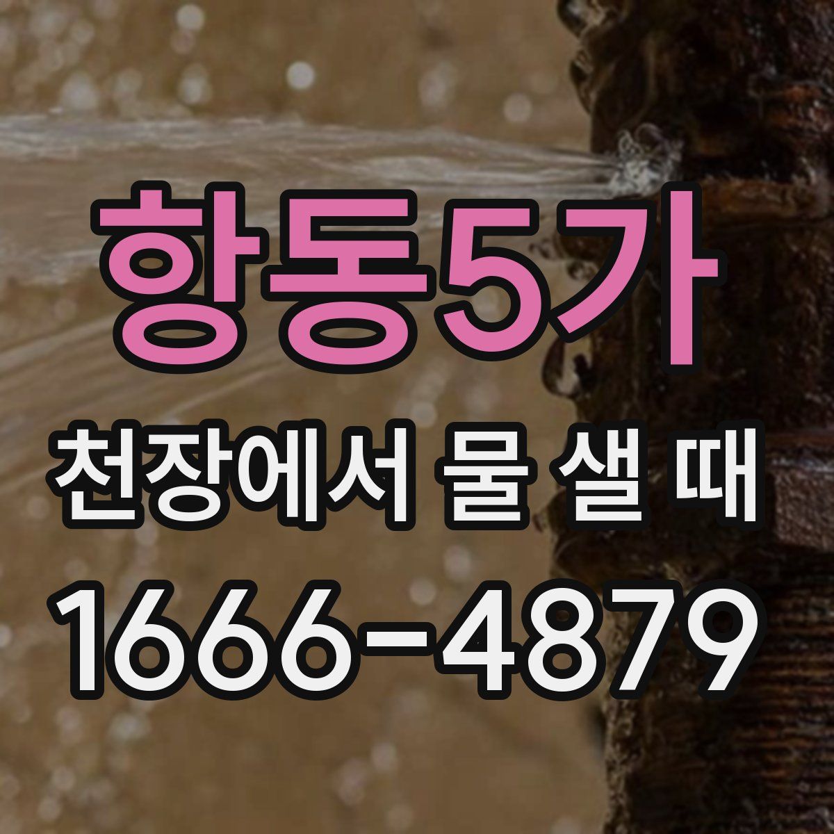 항동5가 천장에서 물 샐 때