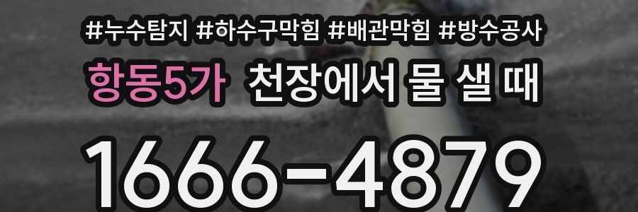 항동5가 천장에서 물 샐 때