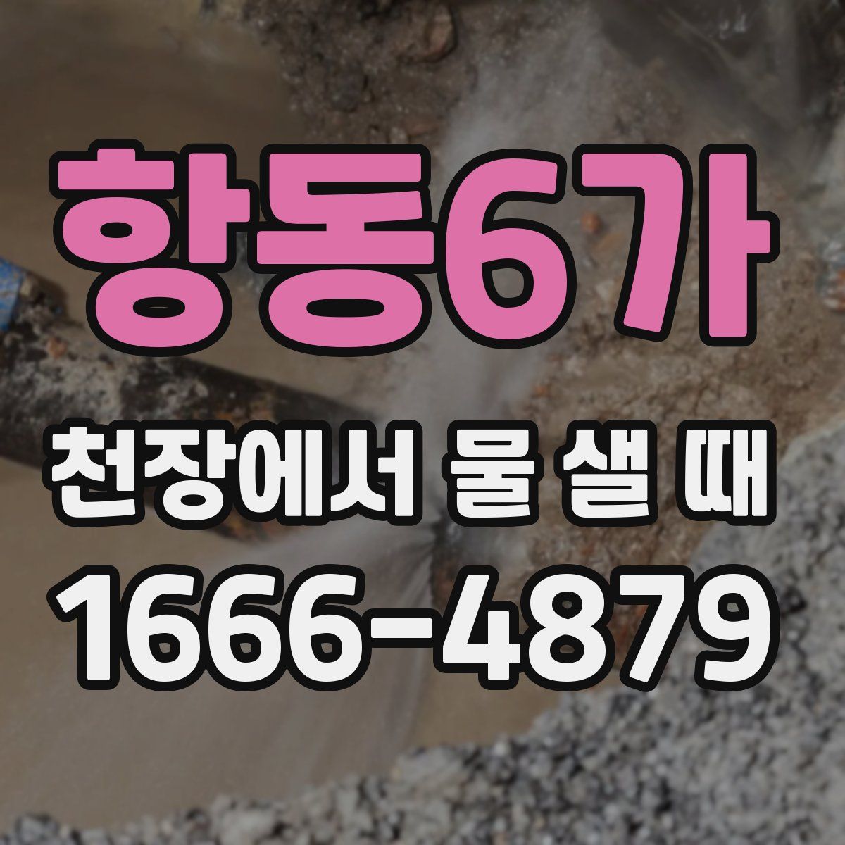 항동6가 천장에서 물 샐 때
